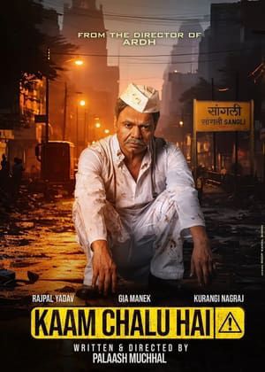 kaam-chalu-hai-2024-hindi-hdrip-720p-480p-1080p3970409462195388520.webp